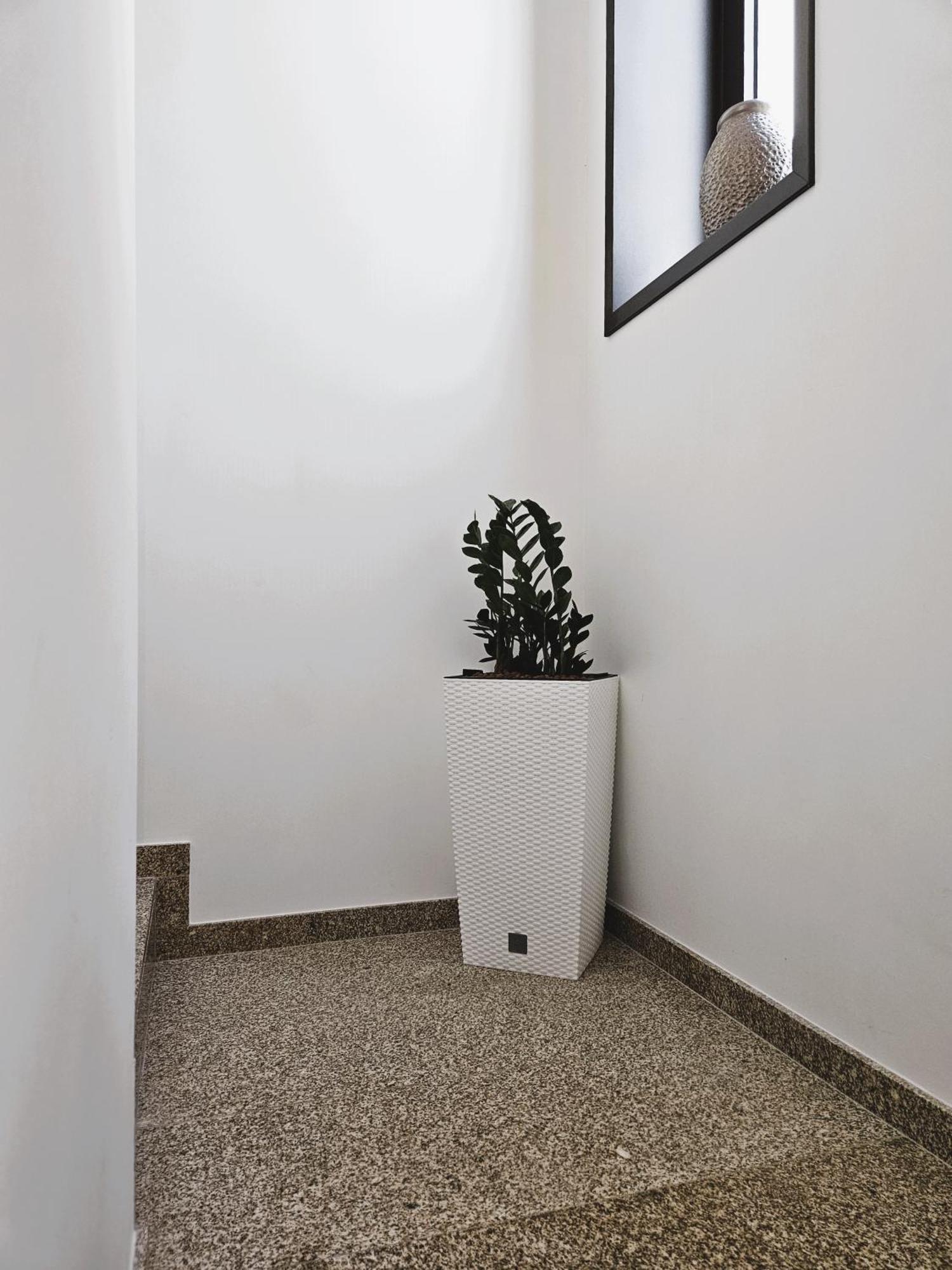 Casa Do Moinho Daire Cabeceiras de Basto Dış mekan fotoğraf